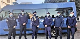 Șase studenți de la Academia de Poliție „Alexandru Ioan Cuza” în practică la Gruparea de Jandarmi Mobilă Craiova