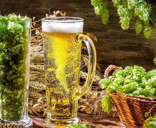 Despre menopauză într-un studiu realizat de Centrul de Studii despre Bere, Sănătate și Nutriție - nutrienți care contribuie la ameliorarea simptomelor menopauzei