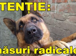 Giurgiu Primarul Comunei Gradinari Magdan Leon Cristian anunta masuri radicale