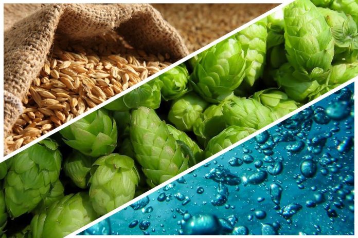 Fonduri de 100.000 de lei pentru studii despre efectele consumului moderat de bere asupra organismului Centrul de Studii despre Bere