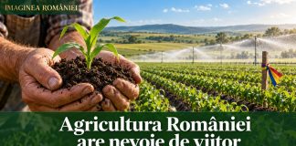 Agricultura României are nevoie de un viitor dincolo de secetă