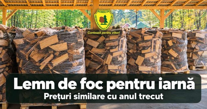 Lemnul de foc și costul unei ierni în România