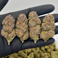 Thumbnail for the listing's main image